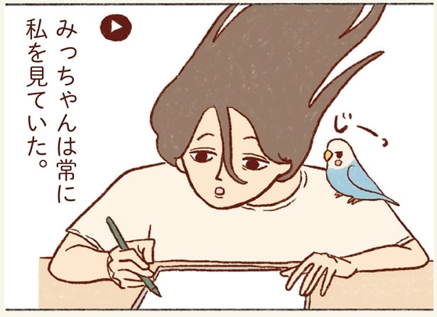 みっちゃんは常に私を見ていた。