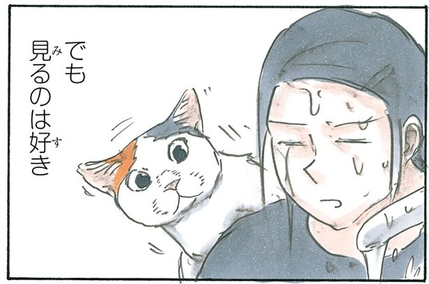 水かかるのキライ、でも見に来る。なかなか学習しない猫にひとこと