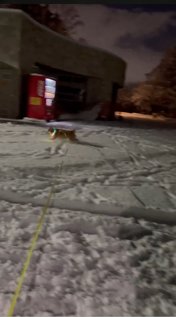 雪を全身で楽しむ♪▶どんどん上がるテンション（⇒次へ）