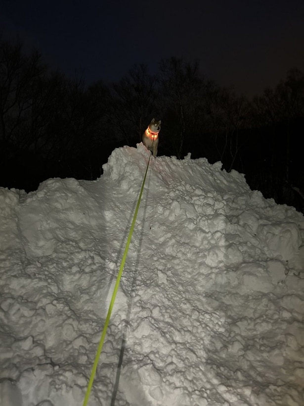雪山登り検定1級合格！▶同じ景色を見つめる2つの背中（⇒次へ）