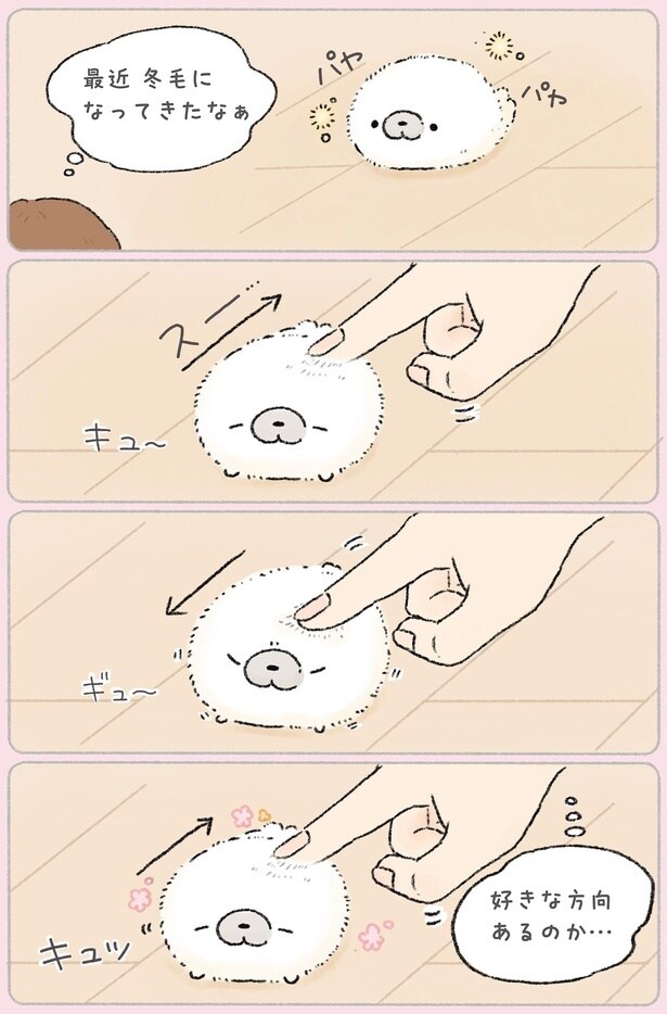 好きな方向あるのか…