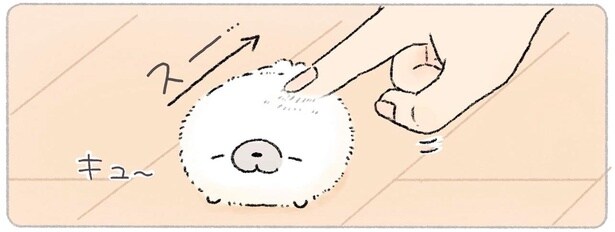 ふわふわ冬毛になりたてのあざらし。同居人が触ってみると？