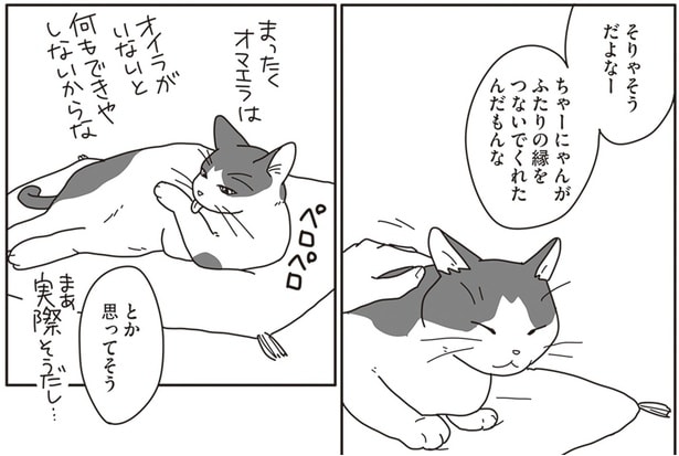 ちゃーにゃんがふたりの縁をつないでくれたんだもんな