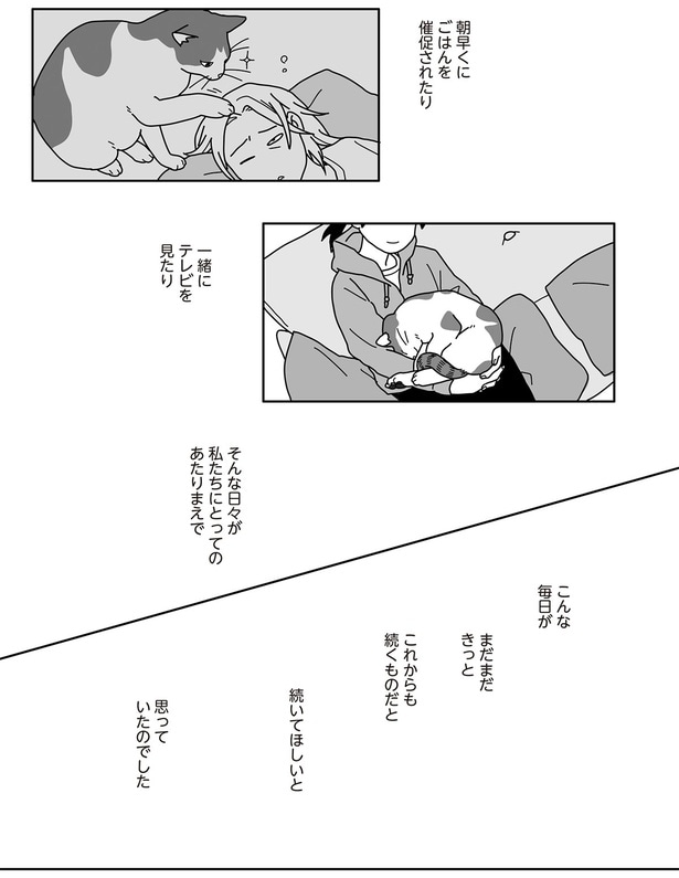 そんな日々が私たちにとってのあたりまえで