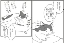 飼い猫が夫婦の縁をつないでくれた。結婚式準備でも大活躍！／世界一幸せな飼い主にしてくれた猫（3）