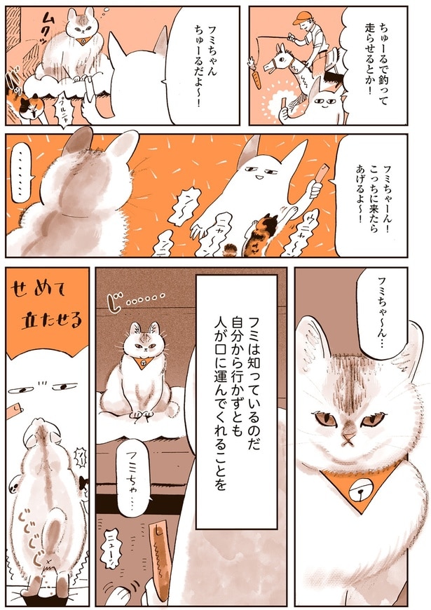 フミは知っているのだ