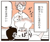 獣医からも「痩せたほうが」と指導が。ぽっちゃり猫のダイエット
