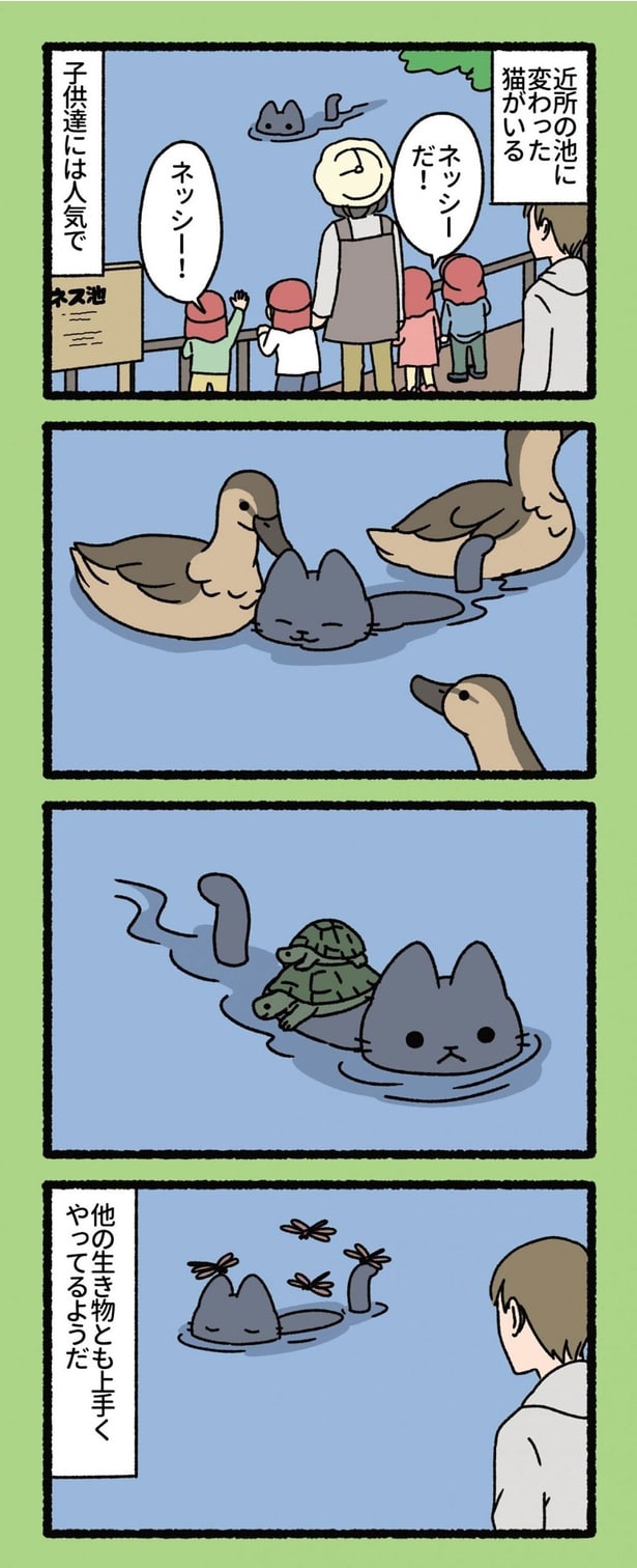 近所の池に変わった猫がいる