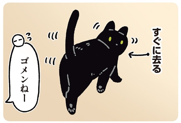 「危ないよ」と言ったらどうなる？料理中にやってきた黒猫ろん