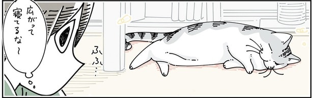 広がって寝てるな～