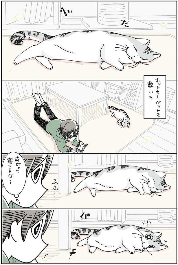 ホットカーペットを敷いた