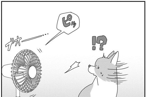 留守番しているペットのことが気になって自宅をハイテク化!