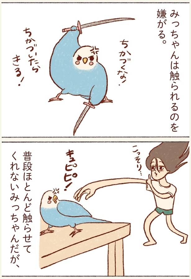 みっちゃんは触られるのを嫌がる。