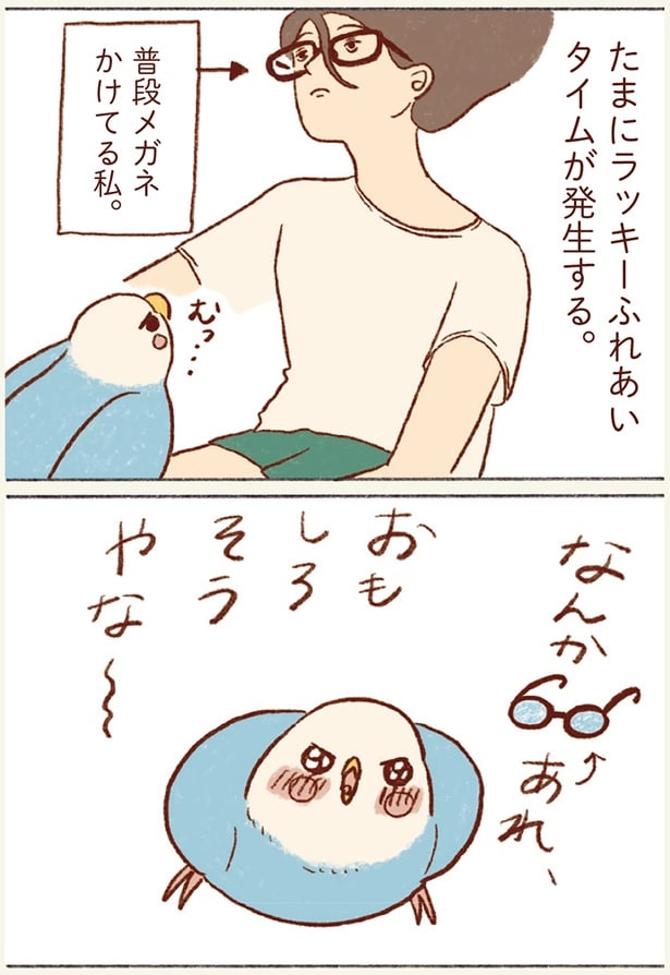 たまにラッキーふれあいタイムが発生する。