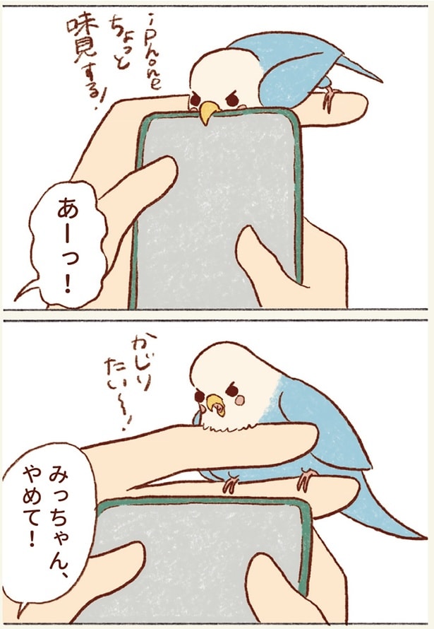 みっちゃんやめて!