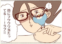 触れられるのを嫌がるセキセイインコ。しかしたまに発生するふれあいタイムに大感動！