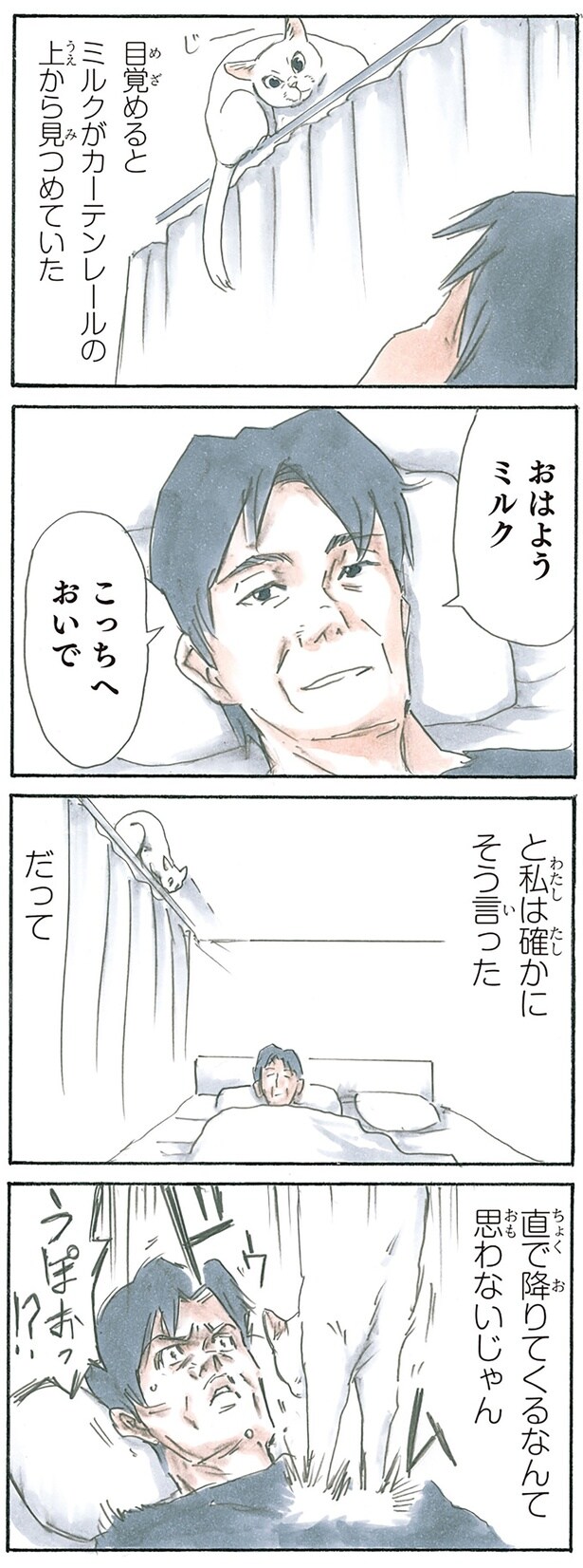 カーテンの上から