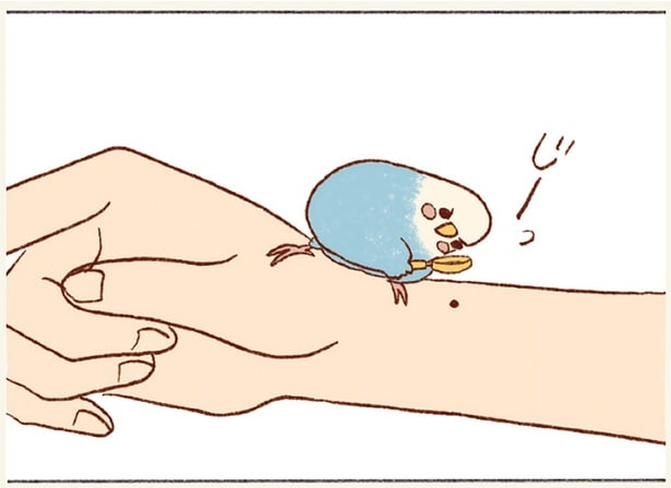 ほくろに釘付けのみっちゃん