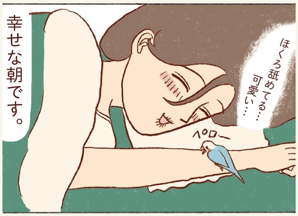 幸せな朝です。