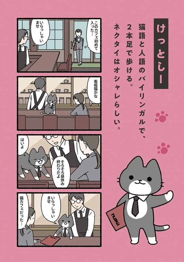 けっとしー