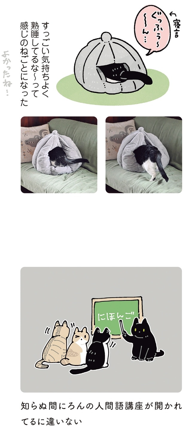 知らぬ間にろんの人間語講座が開かれてるに違いない