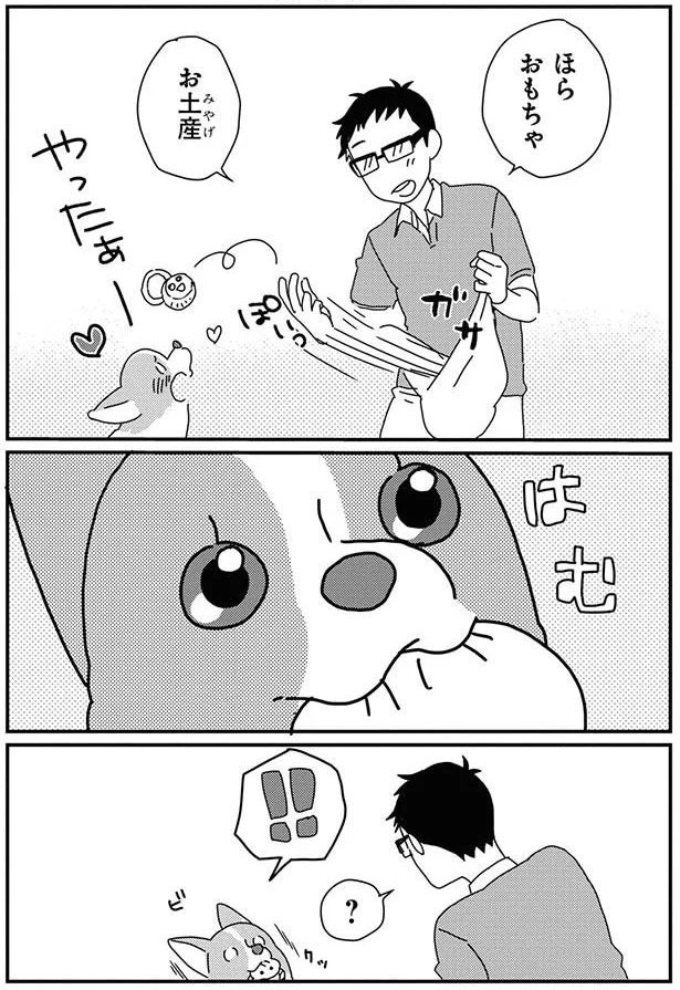 ほら　おもちゃ