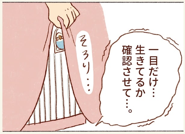 インコのケージの中が静かすぎる。夜、心配になってカバーを開けてしまう飼い主の気持ち