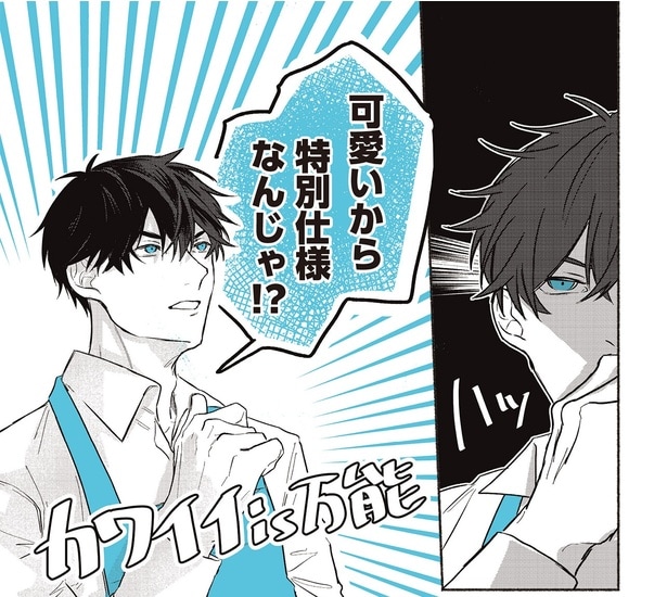 特別仕様なんじゃ!?