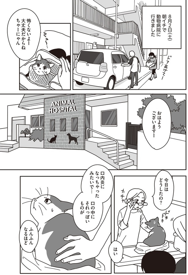 口内炎になっちゃったみたいで…