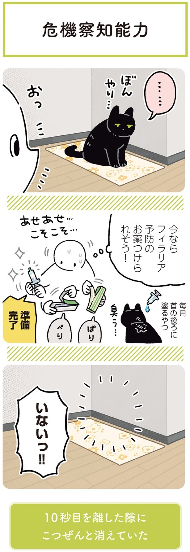 今ならフィラリア予防のお薬つけられそう!