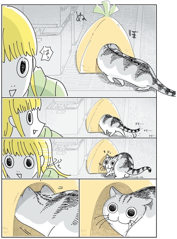 片付けようとしたのに