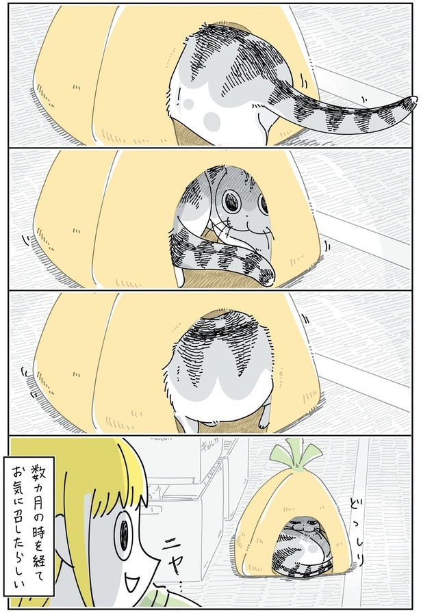 数か月の時を経て