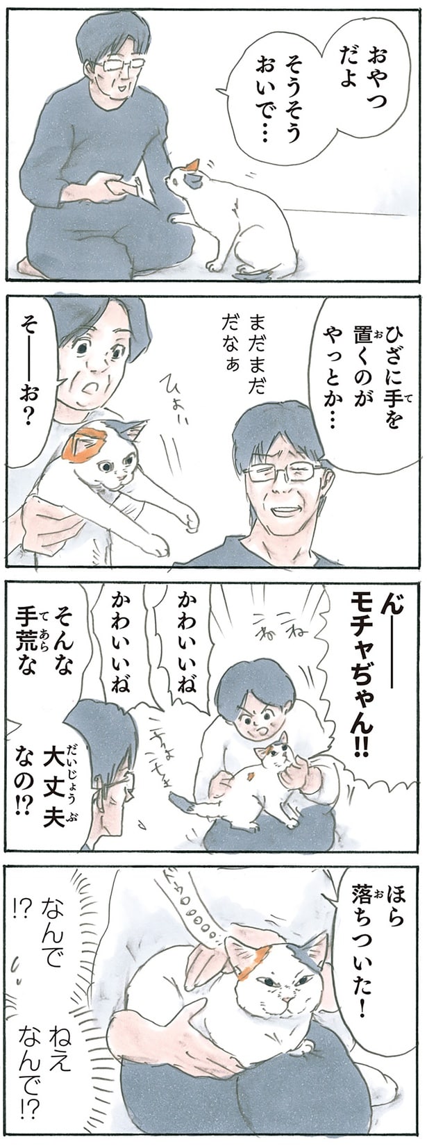 懐くってなんだろう