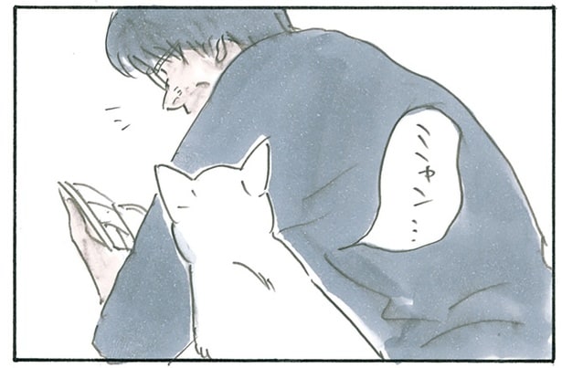 ああ、優しいなあ。本を読んで泣いていたら「ミャン」と声をかけてくれる猫