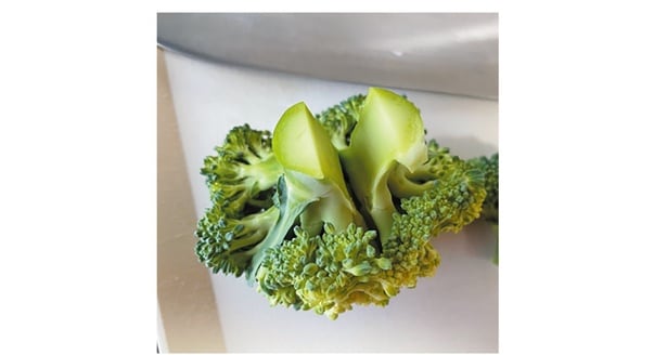 つぼみ側の大きさを意識しながら、切り込みをとっかかりに手で裂く