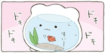 気に入ってくれるかな？ 金魚鉢ちゃんにはじめてのお友だち！