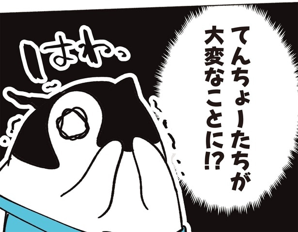 てんちょーたちが大変なことに!?