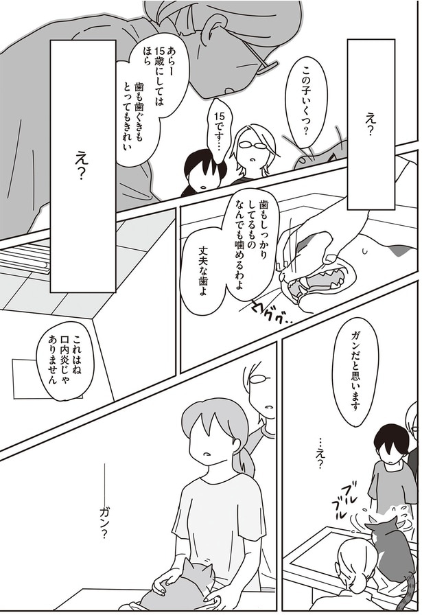 これはね 口内炎じゃありません