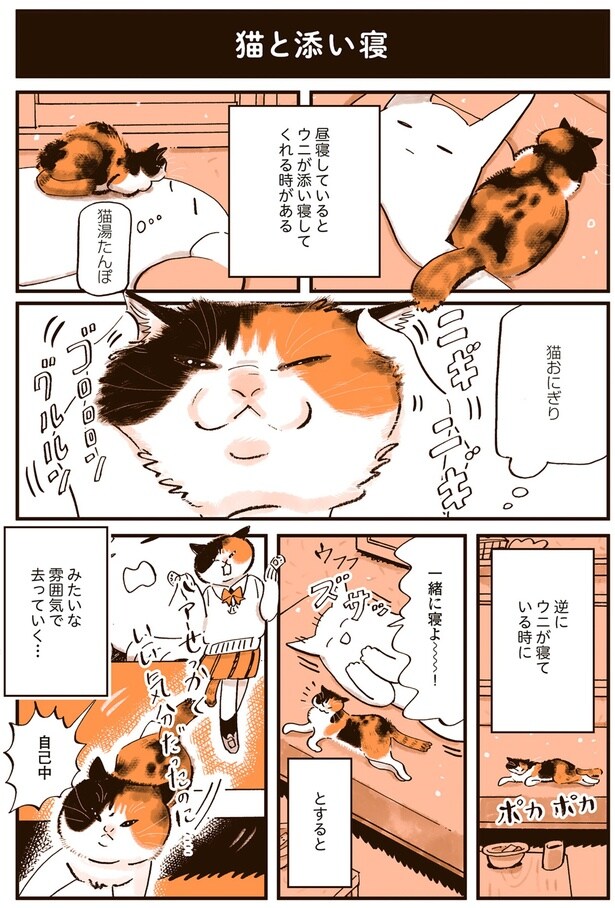 ニギニギ