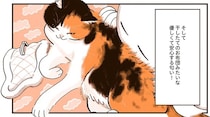 干したてのお布団みたいな匂い！「猫を吸う」とてつもない多幸感