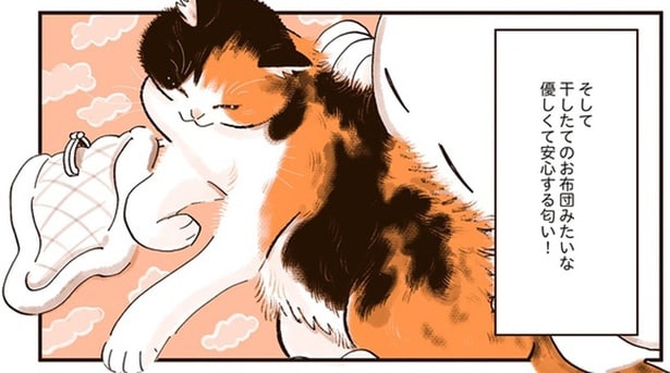 干したてのお布団みたいな匂い!「猫を吸う」とてつもない多幸感