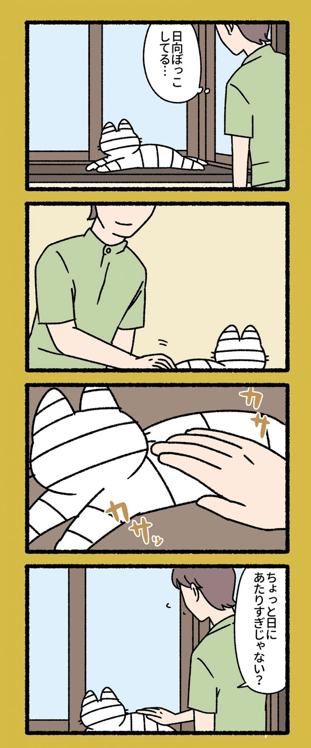 日向ぼっこしてる...