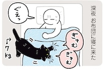 寝心地のいい場所を探す黒猫ろん。あちこち試してやっと決定！