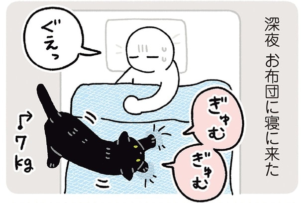 寝心地のいい場所を探す黒猫ろん。あちこち試してやっと決定!