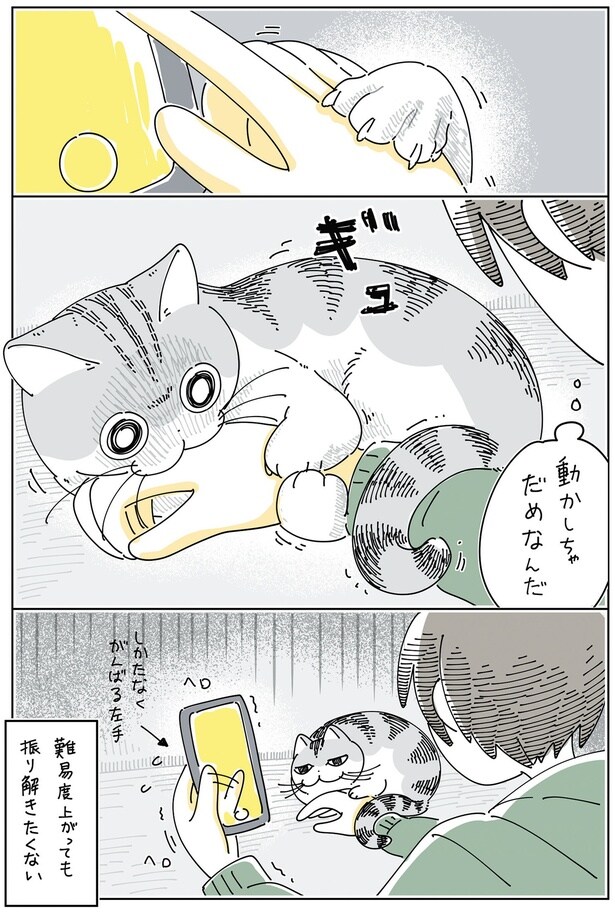 動かしちゃだめなんだ