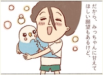 インコに甘えてほしい願望はありつつも。元気ならそれでいいんです！