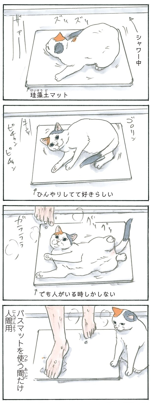 猫はお風呂で戯れる