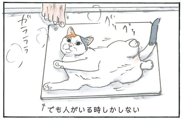 珪藻土マットに横たわる