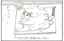 飼い主のシャワー中にだけ愛用。ひんやりした珪藻土マットに横たわる猫