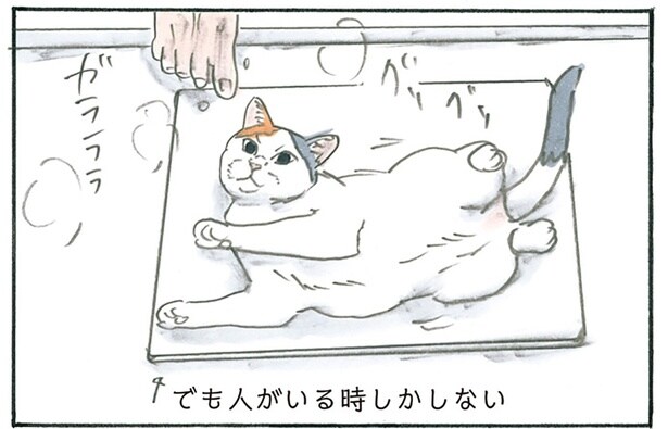 飼い主のシャワー中にだけ愛用。ひんやりした珪藻土マットに横たわる猫